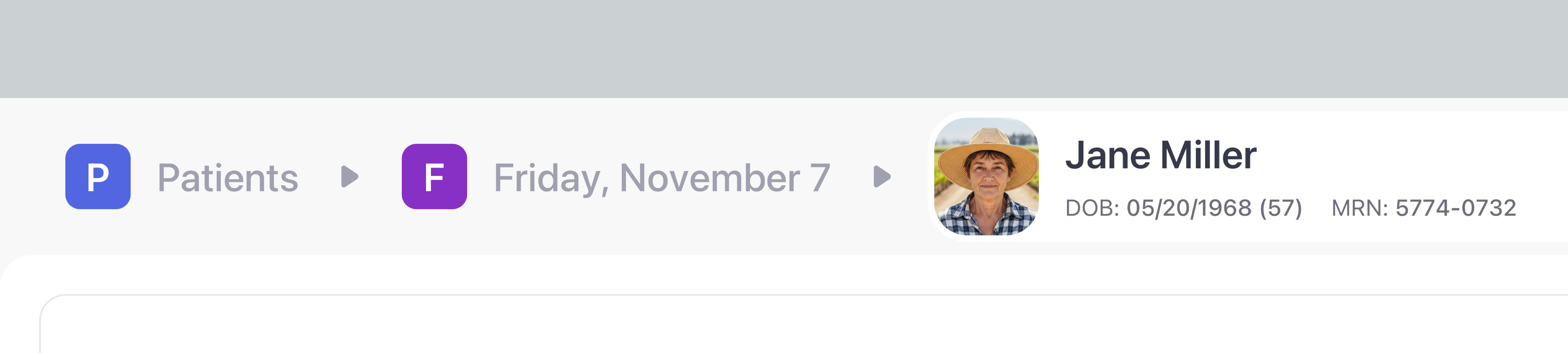 Aegis patient safety banner module with identity and allergy badge
